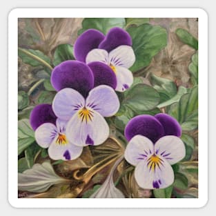 Violas floral painting Sticker